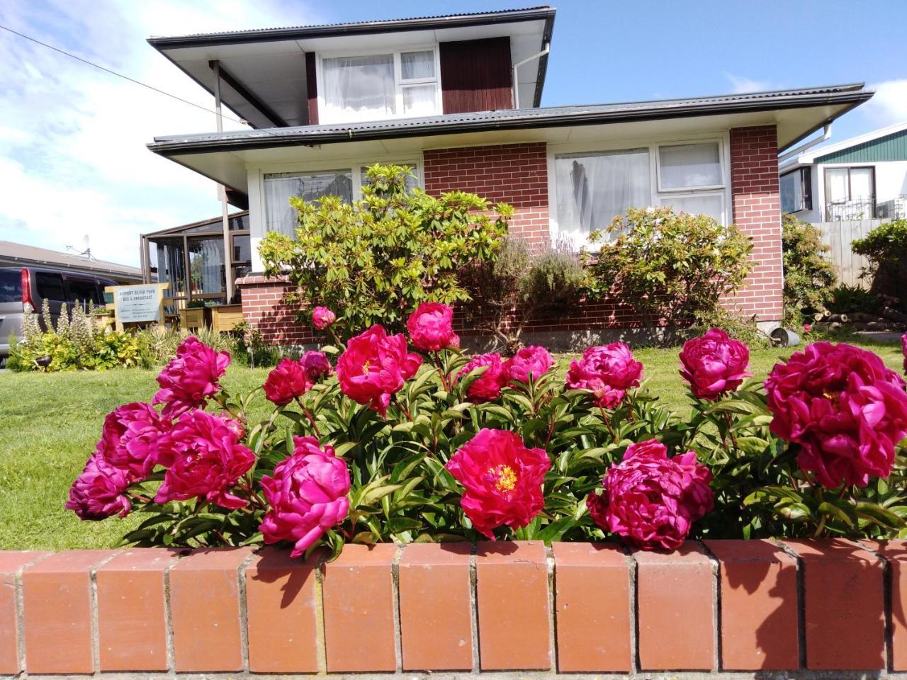 Airport Silver Fern Accommodation Christchurch Dış mekan fotoğraf